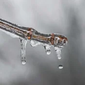 Frio persiste com risco de geada no Sul e Sudeste