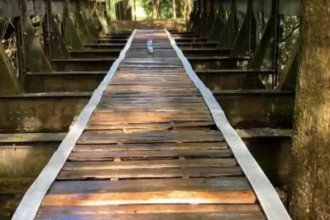 Ponte ferroviária histórica desaparece em Prados (MG) e é achada a 180 km
