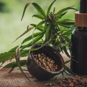 Projeto apoia mães e crianças atípicas tratadas à base de cannabis