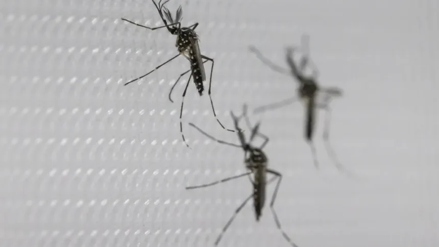SUS suspende uso de vacina da dengue do Butantan após reações adversas