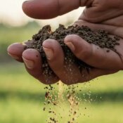 Sebrae Rio seleciona produtores para uma jornada de desenvolvimento da agroindústria | ASN Rio de Janeiro