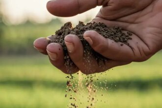 Sebrae Rio seleciona produtores para uma jornada de desenvolvimento da agroindústria | ASN Rio de Janeiro