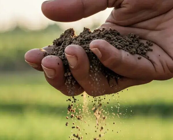 Sebrae Rio seleciona produtores para uma jornada de desenvolvimento da agroindústria | ASN Rio de Janeiro