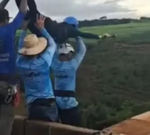 Seis pessoas são presas por morte de jovem em salto de rope jumping sem corda