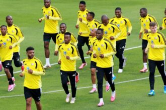 Semelhanças entre Brasil e África do Sul vão além do verde e amarelo